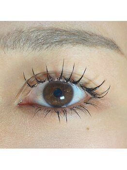 エルドット(L.jour)/フラットラッシュ上160下40本