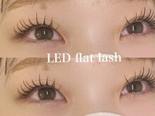 プラス サード(Plus 3rd)/LED flat lash
