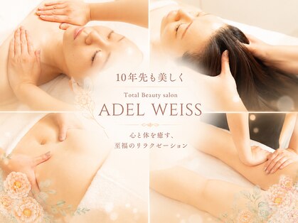 エーデルワイス 桜木町(ADEL WEISS)の写真