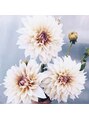 ダリア パラフューズ オオイタ(PARAFUSE.OITA)/【Dahlia】PARAFUSE.OITA