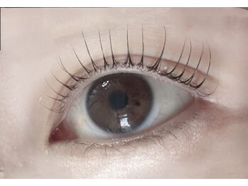 ロウ 裾野(Law)/LASH LIFT