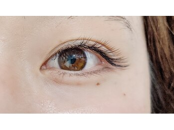 ジャメル(JAMEL)/ツインラッシュ