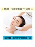11/11・14 限定【有楽町駅】☆瞬間毛穴ケア☆40分¥4890