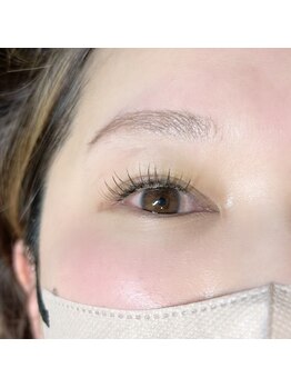 ルクール(Le Coeur)/ディープオリーブ120本