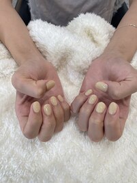 ちゅるんワンカラー