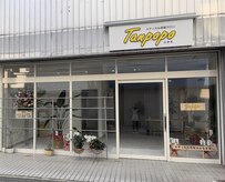 タンポポ(Tanpopo)