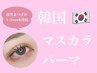 【再来】韓国発♪マスカラパーマ
