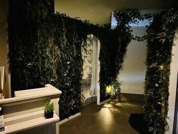 ヌマール バクの森