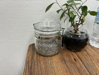 アテラブルー(atera_blue_)/ラベンダー茶