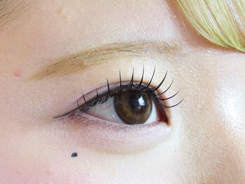 ジャンティーユ(gentille)/フラットラッシュ120本