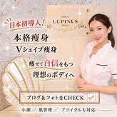 ルピナス ヒサヤ(LUPINUS hisaya)