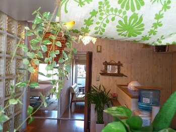 美容整体サロン シェア(Share)/風が気持ちよく抜けるサロン♪