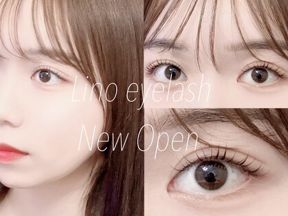 リノ(Lino)の写真