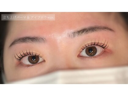 シュシュ(chouchou)の写真