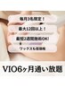 【再来/毎月3名様限定】VIO光脱毛《最大12回以上!6ヶ月通い放題》
