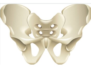 ラ ヴィ リッシュ(La vie riche)/骨格矯正のカナメは、骨盤!