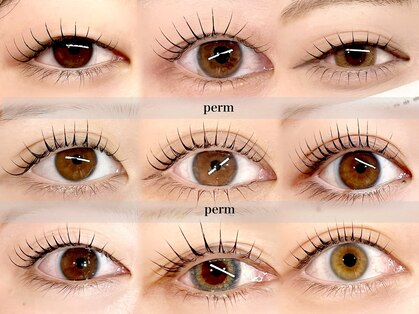 縁と縁(enn to yukari)の写真