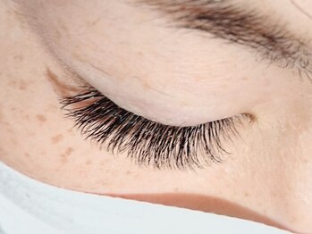 シンデレラ(CINDERELLA)/ボリュームラッシュ(右目)