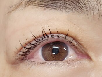 ビュー(V.I.E.W)/LASHLIFT