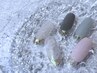 【人気デザイン】ガラスフレンチネイル￥8500（初回オフ無料）