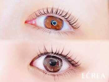 エクレア 八王子店(E’CREA)の写真/[八王子/韓国アイドル風束感まつ毛パーマ］グループ月間6万人↑通うまつげパーマ専門店◎2回目以降もお得♪