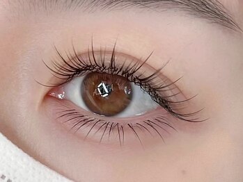 サンフラワー100本