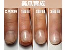 パラジェル美爪育成ネイルケア