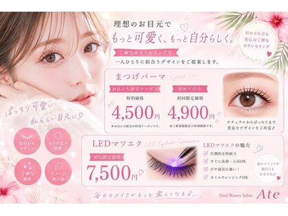 アテ(Ate)の写真