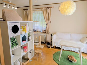 脱毛サロン リッカ(Lycka)の写真/[完全都度払い&個室サロン♪平日限定★女性全身脱毛¥15000]勧誘なし★1回ごとにお支払いで安心して通える★