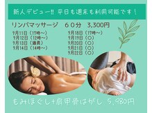 整体ダイアリー