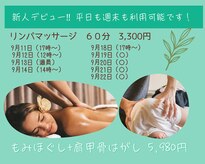 整体ダイアリー