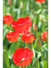 ナチュラルガーデン 天王寺ミオプラザ店(Natural Garden)&nbsp;市川 