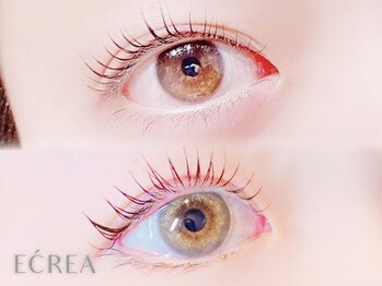 エクレア 八王子店(E’CREA)の写真/[八王子/韓国アイドル風束感まつ毛パーマ］ハリ・コシアップ◎話題のケラチントリートメントでお悩み解決♪