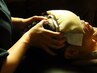 ドライヘッドスパ 30分…脳疲労・眼精疲労を整えるヘッドメンテナンス