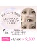 【L ED導入記念】バインドロック１２０束