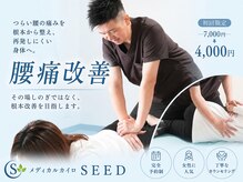 シード(SEED)