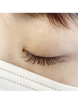 フランセス(Frances)/ブラウンラッシュ