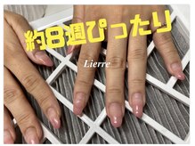リエール 八丁堀店(Lierre)の雰囲気（どのサロンへ行ってもモチが悪かった方も、当店でお悩み解決！）