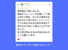 ちねん整体院/クチコミ