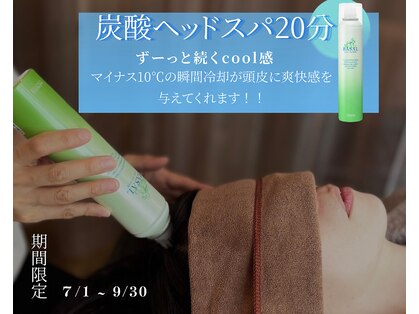 エニシスの写真