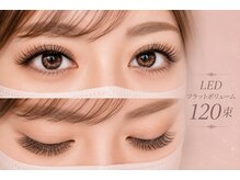 チック(chick)/LEDフラットボリューム120束