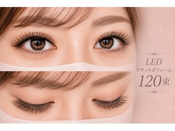 チック(chick)/LEDフラットボリューム120束