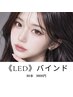 《9月限定先着10名様》LEDバインドロック80束お試し価格♪10500円→
