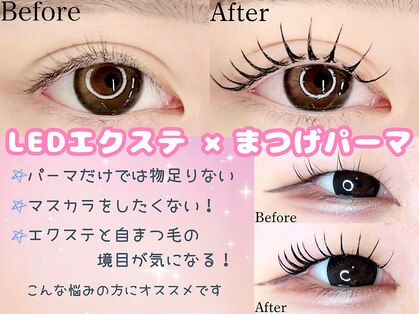 まつげとまゆげの写真