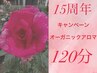 6月以降【15周年】オーガニックアロマ（全身）120分¥19,000→¥17,000