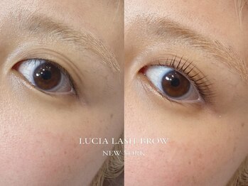 ルシアラッシュブロウ 自由が丘(LUCIA LASH BROW)/マスカラパーマ/まつげパーマ