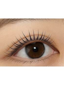 初めての方にオススメ