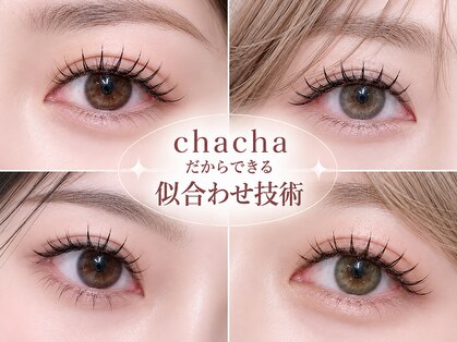 チャチャ(chacha)の写真