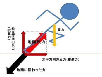 ライズ/Biomechanics