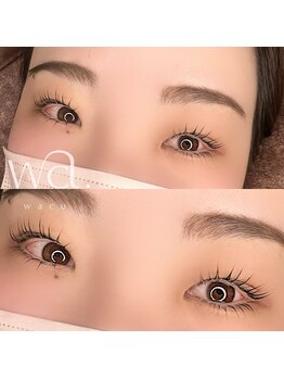 ワク(wacu)/Lash lift 上下